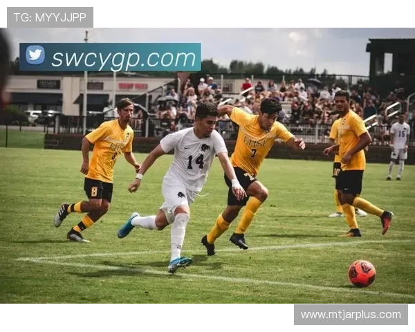 开云体育官网真人游戏高质量画面，打造沉浸式真人娱乐体验